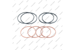 Комплект уплотнительных колец (8шт.)