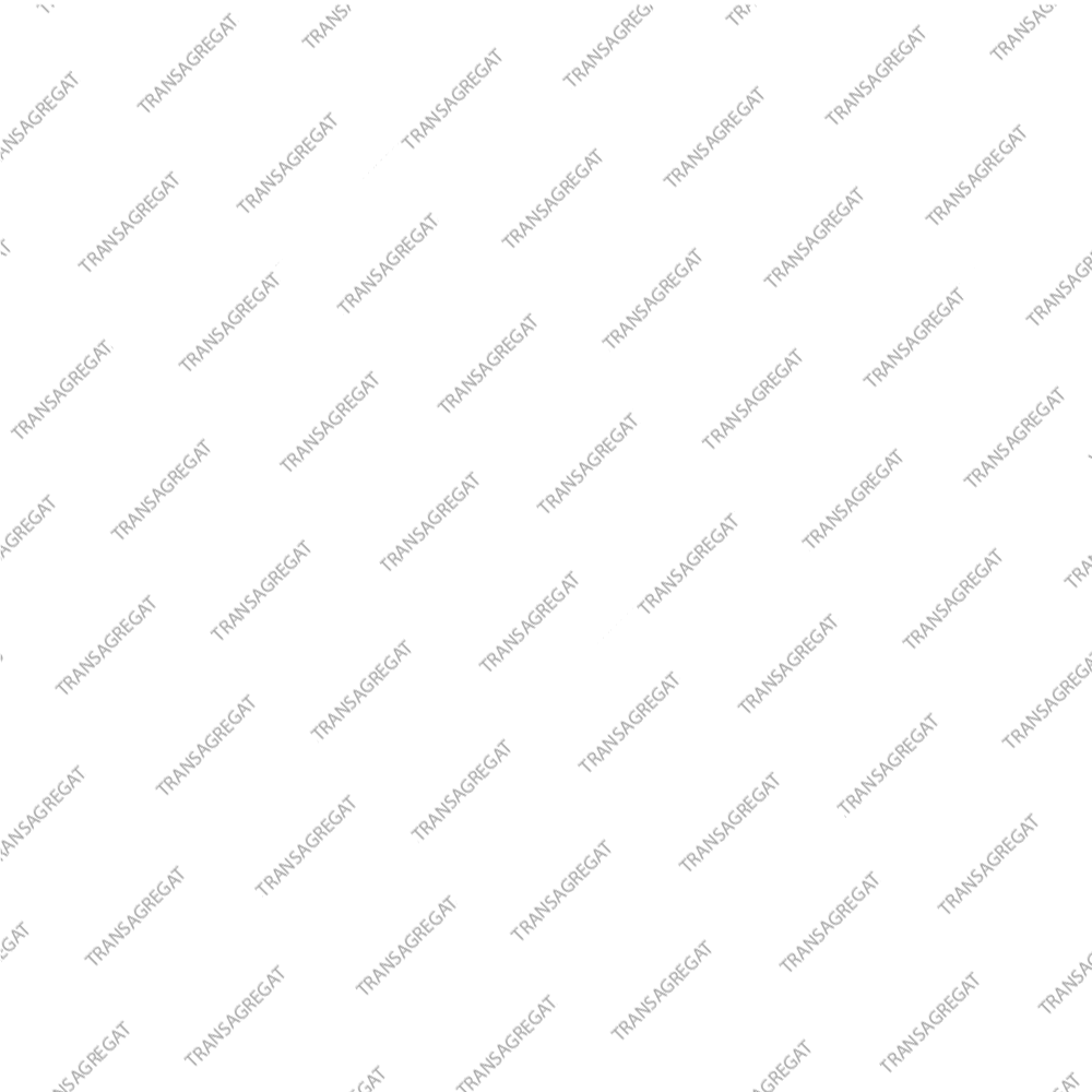 Корпус сцепления Low/Reverse (81-up)