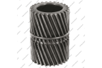 Шестерня солнечная Forward (No bushing type)