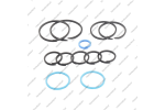 Комплект уплотнительных колец (12шт.)