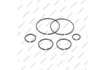 Комплект уплотнительных колец (6шт.)*
