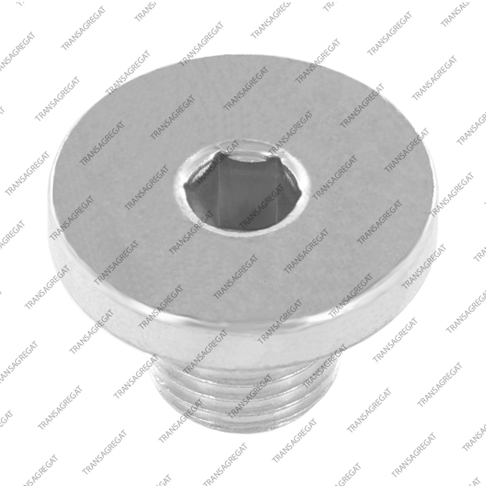 Пробка поддона сливная